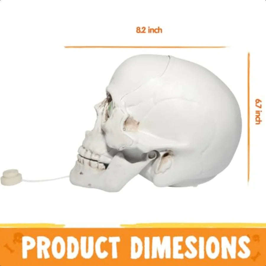 Indoor Animatronics Skull Table Desk Home Decor Haunted House Sound Activated LED Lights Up Eyes Party Halloween