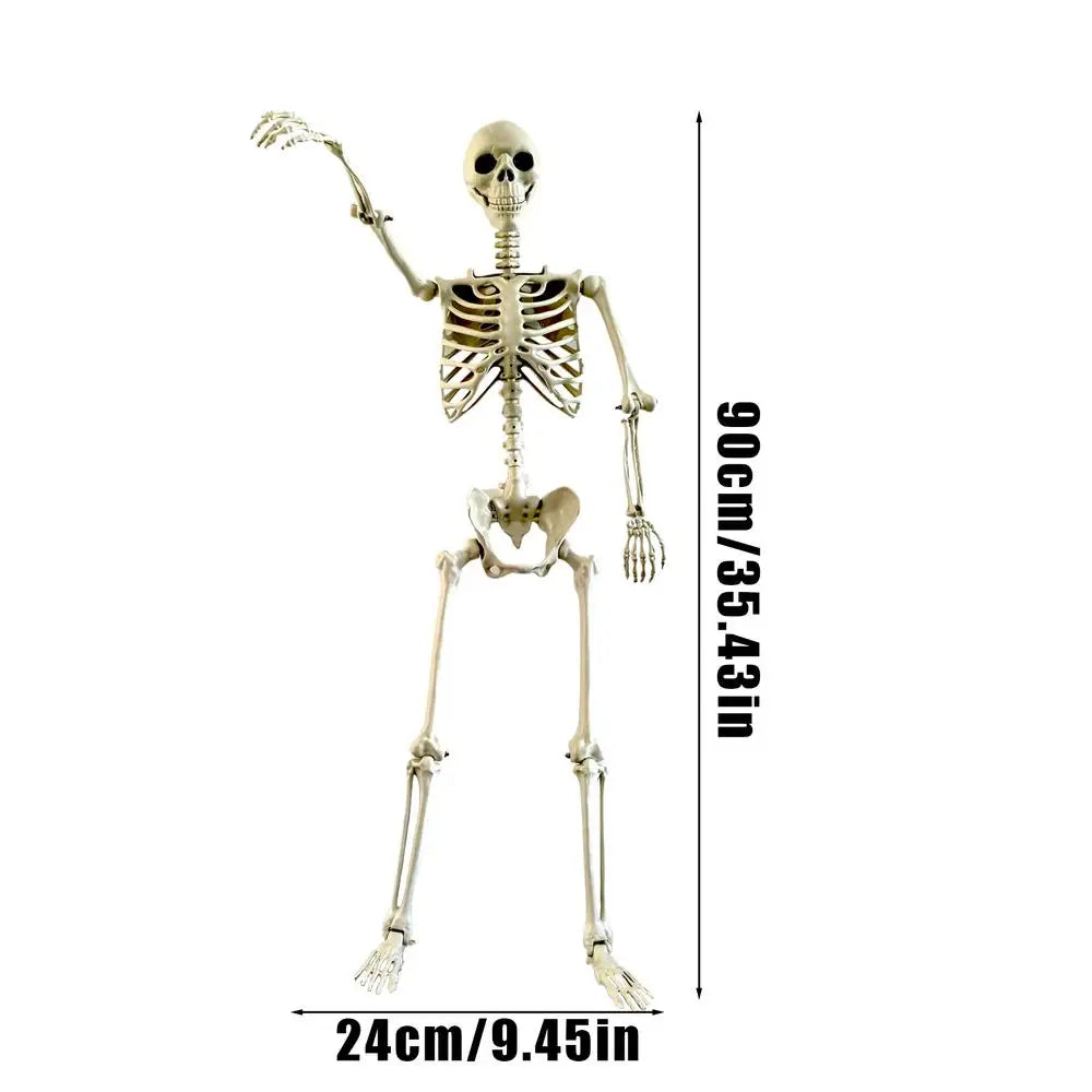 Realistic Body Bones Life Size Human Skeleton With Posable Joints Simulation Skull Ornament Haunted House Horror Props Halloween