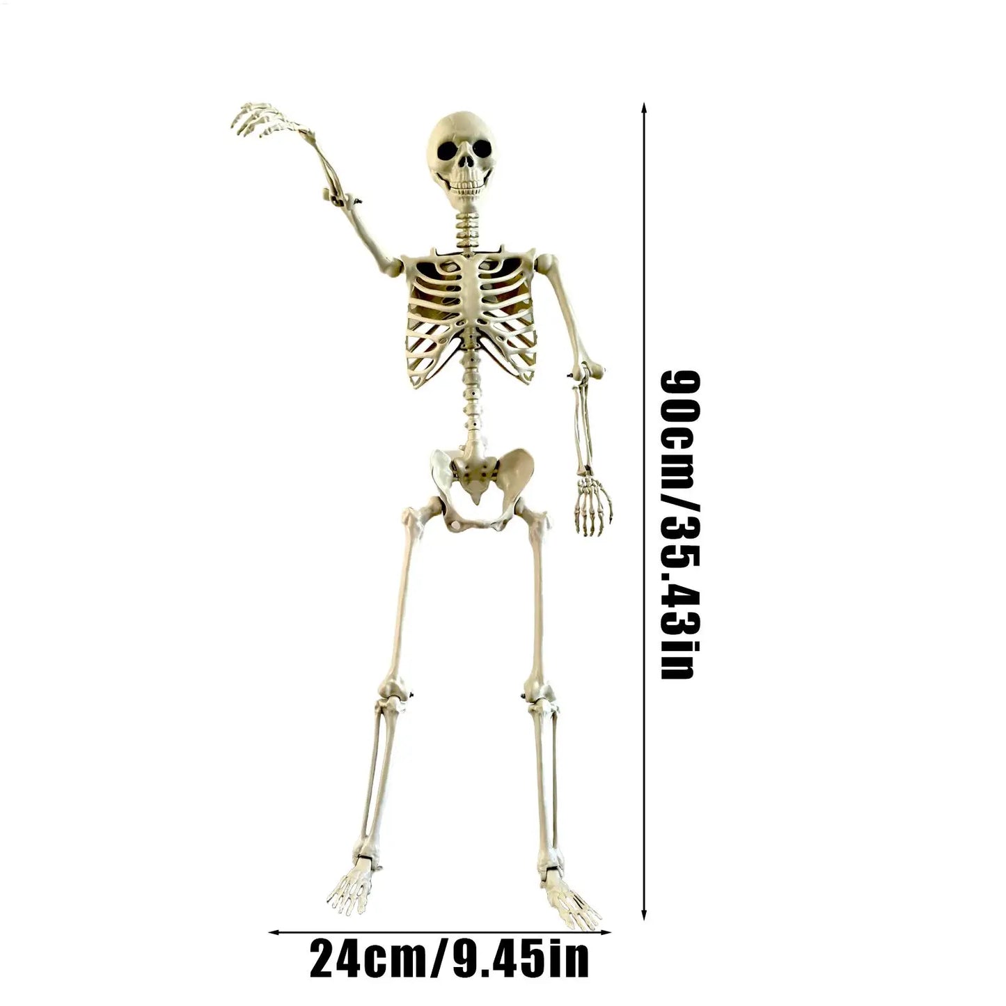 Realistic Body Bones Life Size Human Skeleton With Posable Joints Simulation Skull Ornament Haunted House Horror Props Halloween