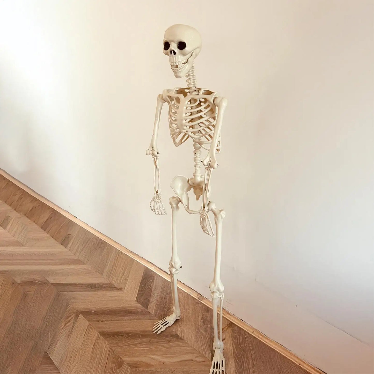 Realistic Body Bones Life Size Human Skeleton With Posable Joints Simulation Skull Ornament Haunted House Horror Props Halloween
